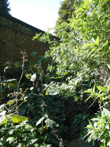 dscf5079.jpg